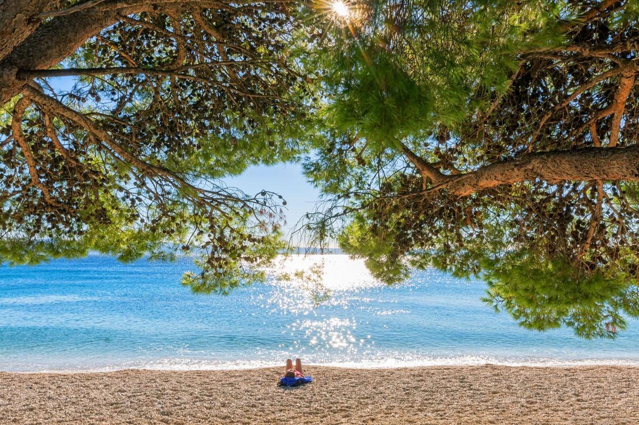 Villa Bougenvilia Tomas Tučepi Kültér fotó